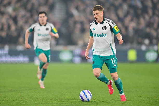 含了冷静分 含了冷静分